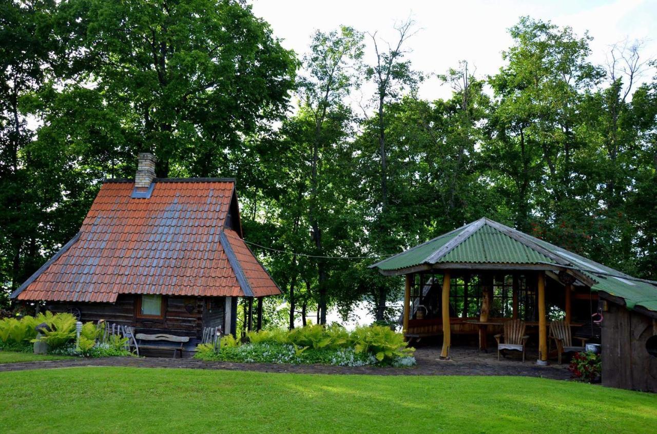 Villa Jekaba Maja à Balvi Extérieur photo