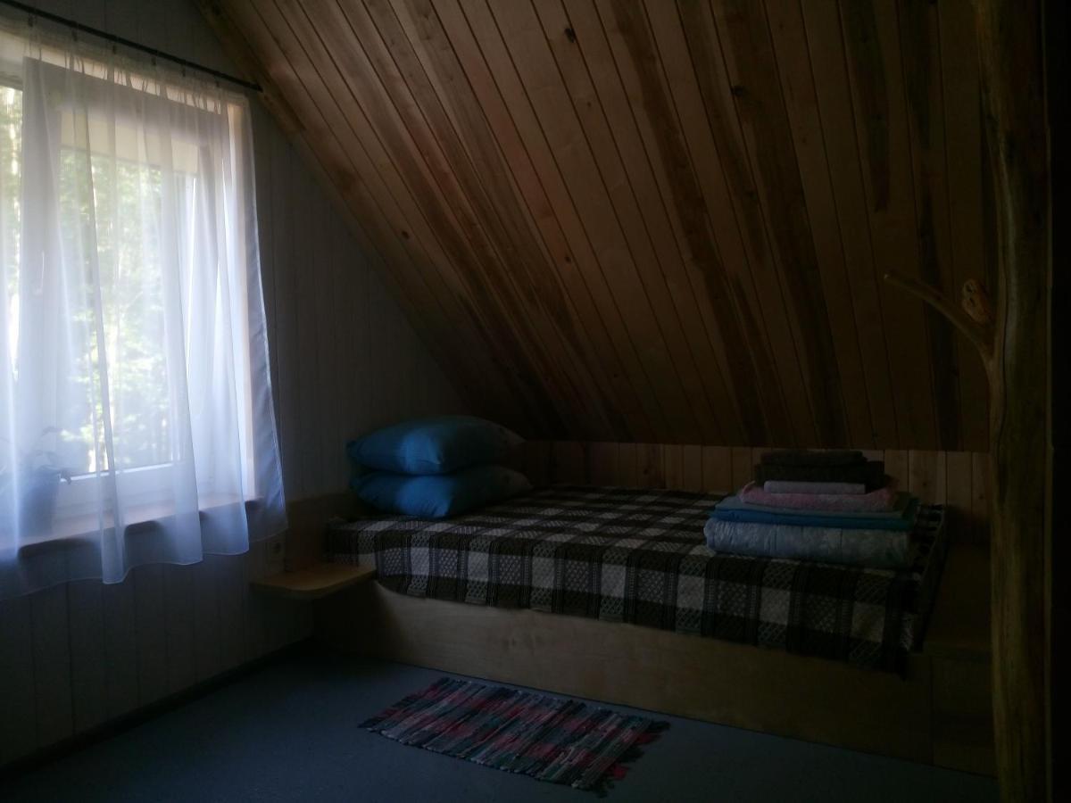 Villa Jekaba Maja à Balvi Extérieur photo